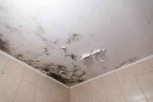 Ten tips to prevent mold, mildew from growing indoors.